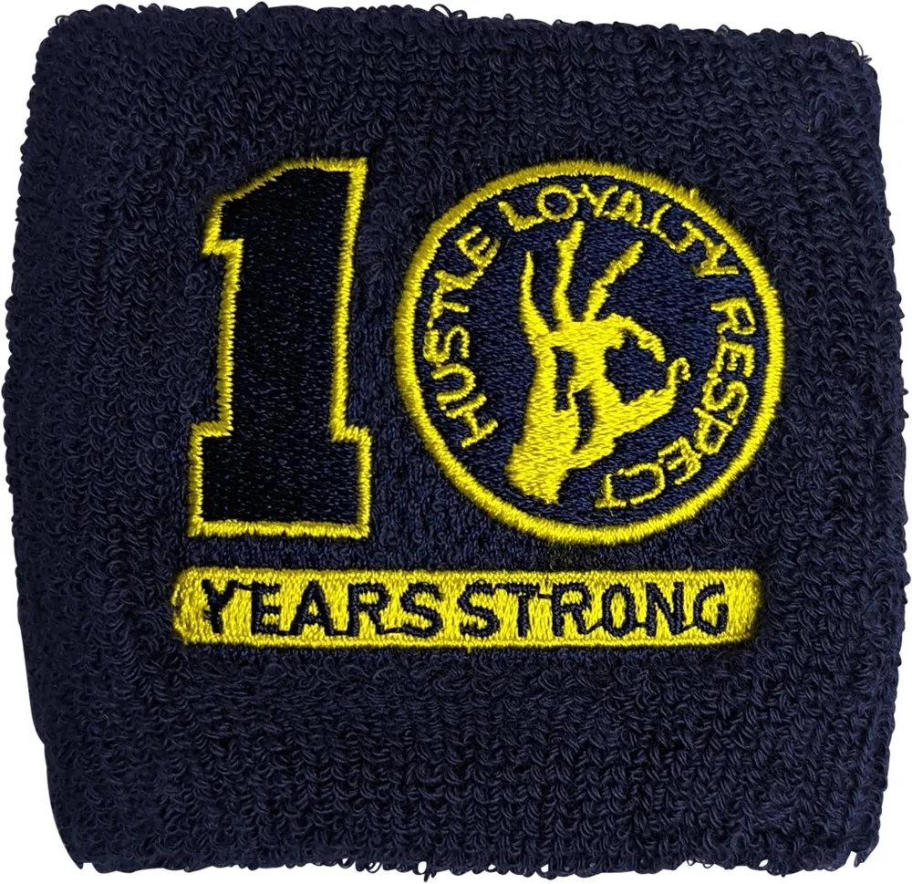 JOHN CENA Ten Years Strong Blue Cenation U Can't See Me Headband Wristbands Set